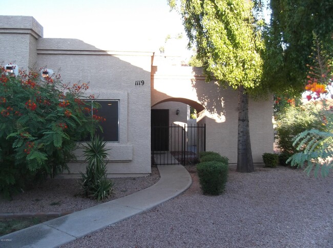 2019 W Lemon Tree Pl in Chandler, AZ - Building Photo - Building Photo