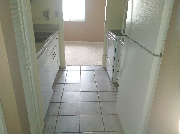 1577 Greenlea Dr in Clearwater, FL - Foto de edificio - Building Photo