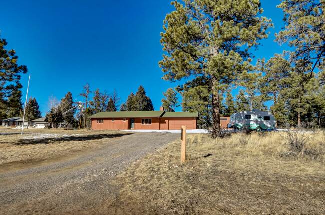 517 Conifer Dr in Bailey, CO - Foto de edificio - Building Photo