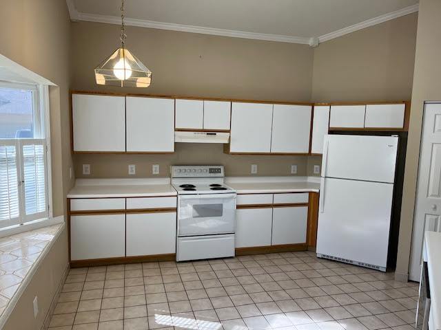 10 Tisha Ln in Hendersonville, NC - Building Photo - Building Photo