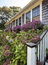 85 Winemack St in Oak Bluffs, MA - Building Photo - Building Photo