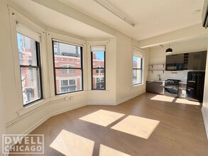 102 W Chicago Ave in Chicago, IL - Foto de edificio - Building Photo