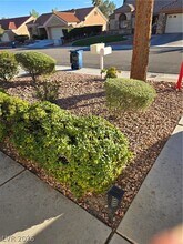 8536 Desert Holly Dr in Las Vegas, NV - Building Photo - Building Photo