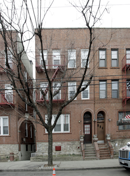 4437 Carpenter in Bronx, NY - Building Photo