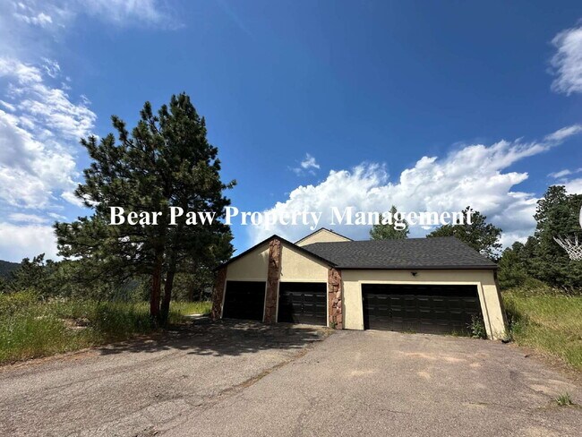33379 Buffalo Park Rd in Evergreen, CO - Building Photo - Building Photo