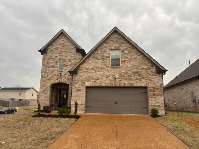 property at 10007 Messana St