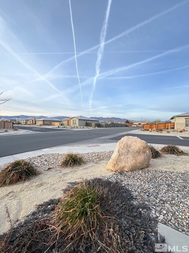 158 W Jenny's Ln in Fernley, NV - Building Photo - Building Photo