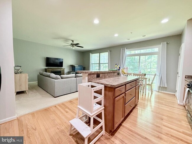 43661 Evening Primrose Ct in California, MD - Building Photo - Building Photo