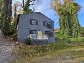 301 Paton St in Charlottesville, VA - Building Photo