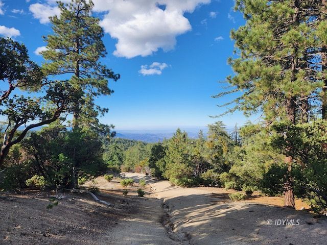 24601 Bluff Rd in Idyllwild, CA - Building Photo - Building Photo