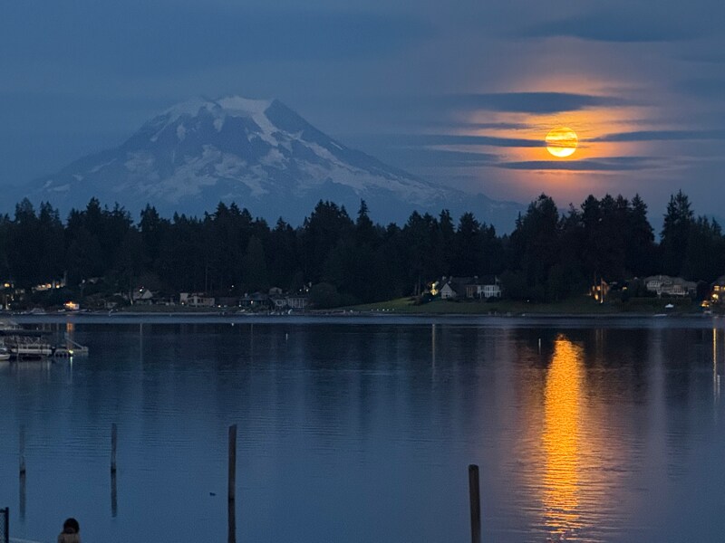 9402 Veterans Dr SW in Lakewood, WA - Building Photo