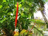 15-1414-1414 24th Ave photo'