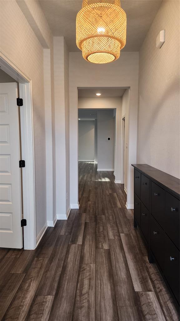 704 Giorgio Moroder Dr in Hutto, TX - Building Photo - Building Photo