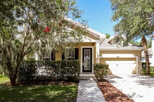 8205 Lagerfeld Dr in Land O Lakes, FL - Building Photo