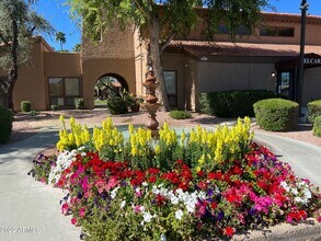 8256 E Arabian Trail in Scottsdale, AZ - Building Photo - Building Photo