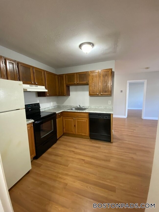 8 Elko St in Boston, MA - Building Photo - Building Photo