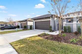 219 Villa Luna Ln in Lutz, FL - Building Photo - Building Photo