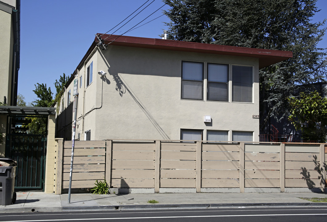 6563 Shattuck Ave in Oakland, CA - Building Photo