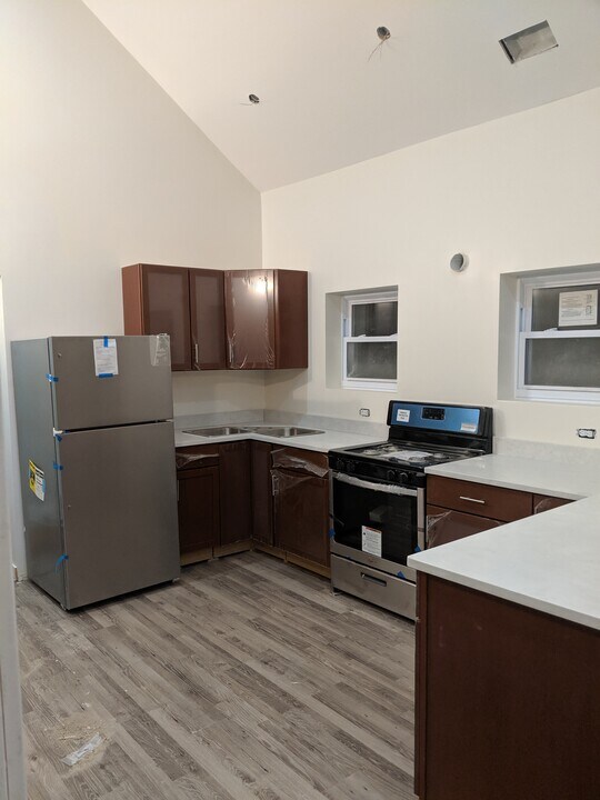 1900 W 17th St in Chicago, IL - Building Photo