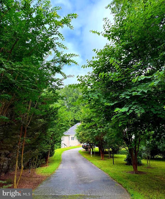 10408 Marbury Rd in Oakton, VA - Building Photo - Building Photo