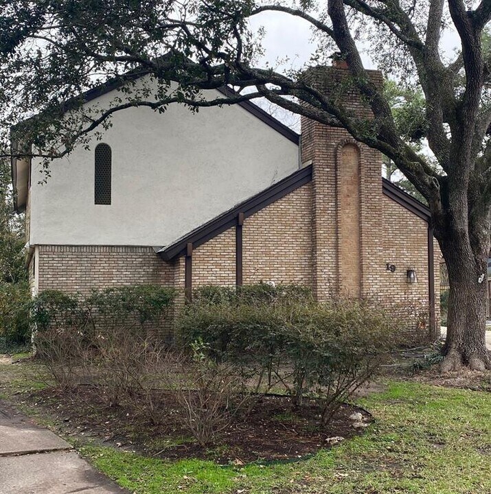 19 Rocky Ln in Houston, TX - Building Photo
