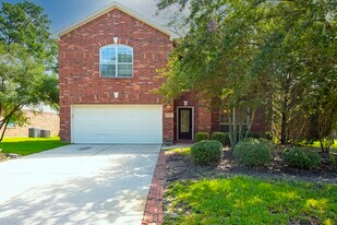 46 N Planchard Cir in Spring, TX - Building Photo