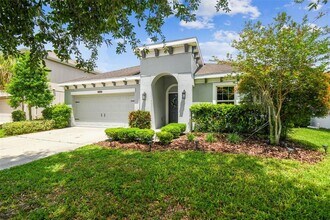 8228 Sunlit Horizon Ln in Land O Lakes, FL - Building Photo - Building Photo