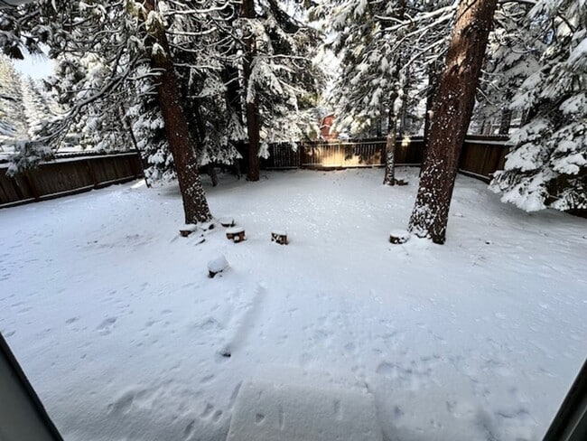 1224 Tokochi St in South Lake Tahoe, CA - Building Photo - Building Photo