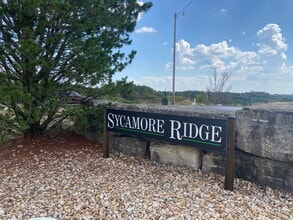 315 Toni Ln in Branson, MO - Building Photo - Building Photo