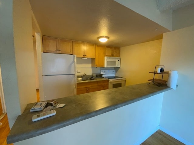 200 Pearl St, Unit 403 in Denver, CO - Building Photo - Building Photo