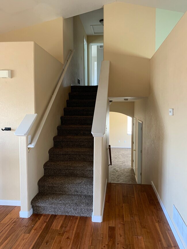 221 Green Teal Dr Rentals in Loveland, CO