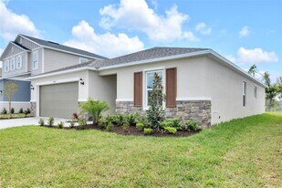 9267 Sandy Bluffs Circle in Parrish, FL - Building Photo