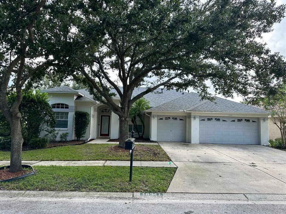 19211 Dove Creek Dr in Tampa, FL - Building Photo