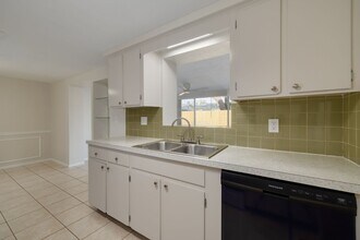 3645 Panola Dr in New Port Richey, FL - Building Photo - Building Photo