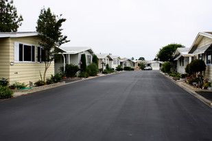 Forest Gardens Mobile Home Apartments