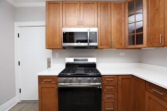 1352 W Carmen Ave in Chicago, IL - Building Photo - Building Photo