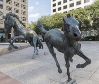 Apartamentos en Irving, TX
