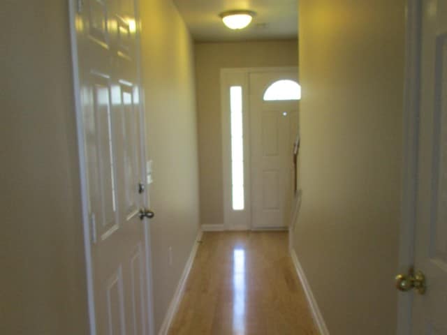 1041 Vanguard Dr in Spring Hill, TN - Building Photo - Building Photo