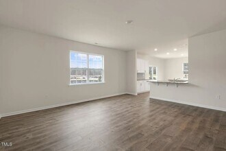 1017 Leo Minor Ln in Wendell, NC - Building Photo - Building Photo