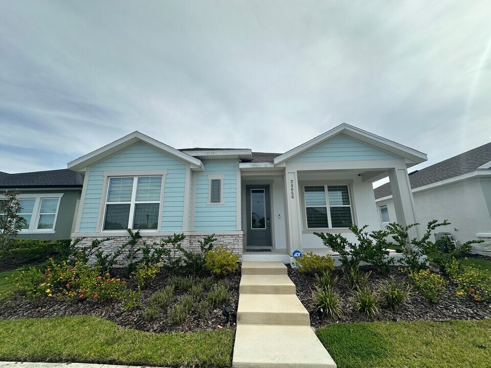 28656 Sweet Persimmon Dr in Wesley Chapel, FL - Building Photo