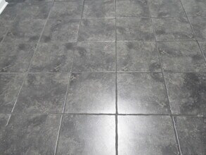 317 Bainbridge Dr in Lexington, KY - Building Photo - Building Photo