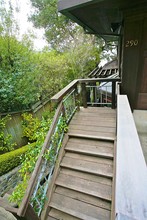 290 Bayview Ave in Tiburon, CA - Building Photo - Building Photo