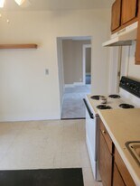 123 Pearl St, Unit 123 in Painesville, OH - Building Photo