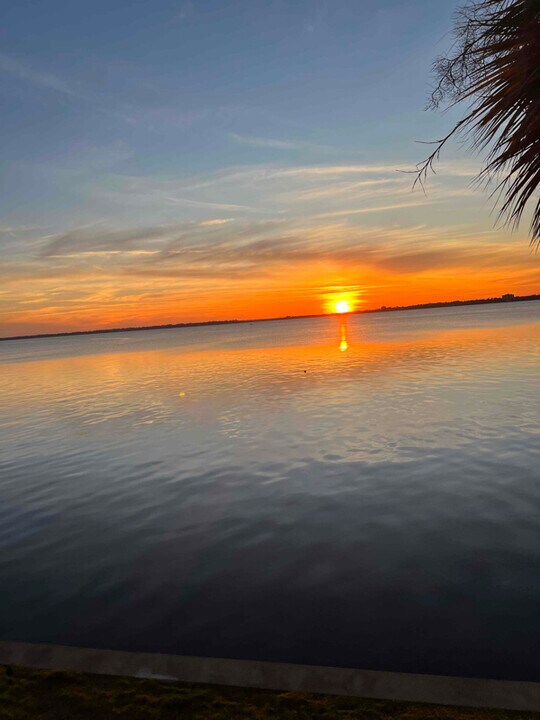 1660 River Rd in Jacksonville, FL - Building Photo