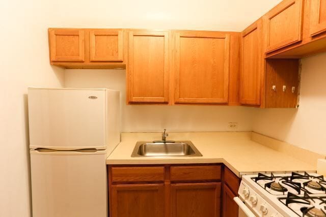 1169 N Dearborn, Unit 513 in Chicago, IL - Foto de edificio - Building Photo