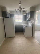 909 Elder Rd in Homewood, IL - Foto de edificio - Building Photo