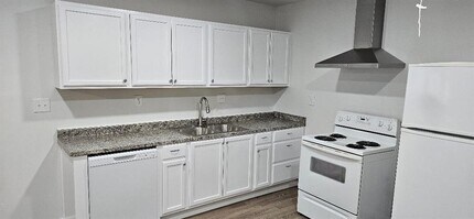 3013 Brackenridge St in Houston, TX - Building Photo - Building Photo
