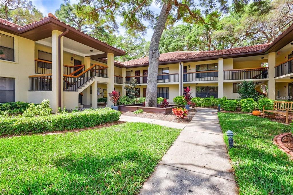 1408 Hammock Pine Blvd in Clearwater, FL - Building Photo
