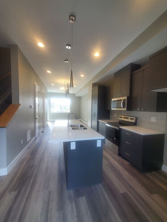 1534 Terry St in Longmont, CO - Building Photo
