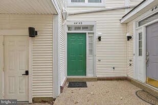 44142 Shady Glen Terrace in Ashburn, VA - Building Photo